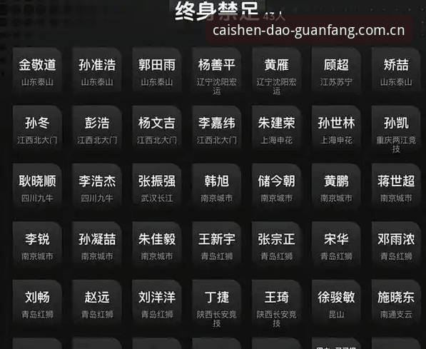 足协第三批禁足名单深度分析：17人终身禁足背后的全链条反腐与财神正版平台数据观察